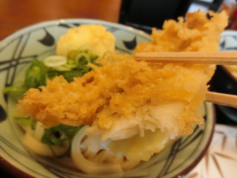 CIMG0036