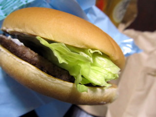 LandP003.JPG