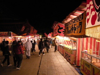 DZ201131.JPG
