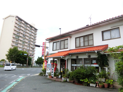 CIMG6016