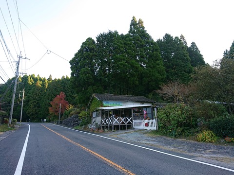 DSC_9588