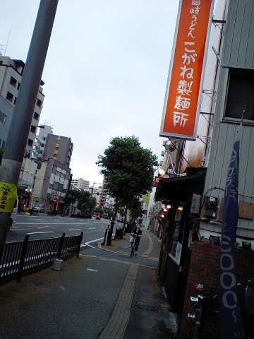 kogane01.JPG