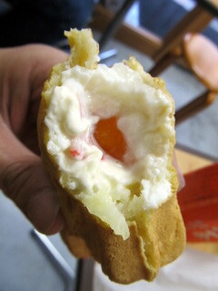 HMegg015.JPG