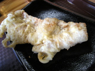 ikenak11.JPG