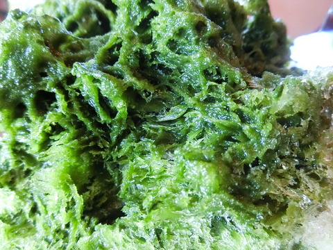 CIMG1268