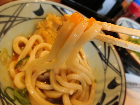 CIMG0041