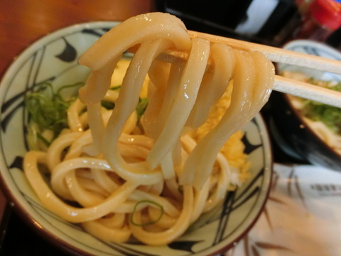 CIMG0037