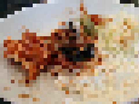 2023_0511_1250_41404