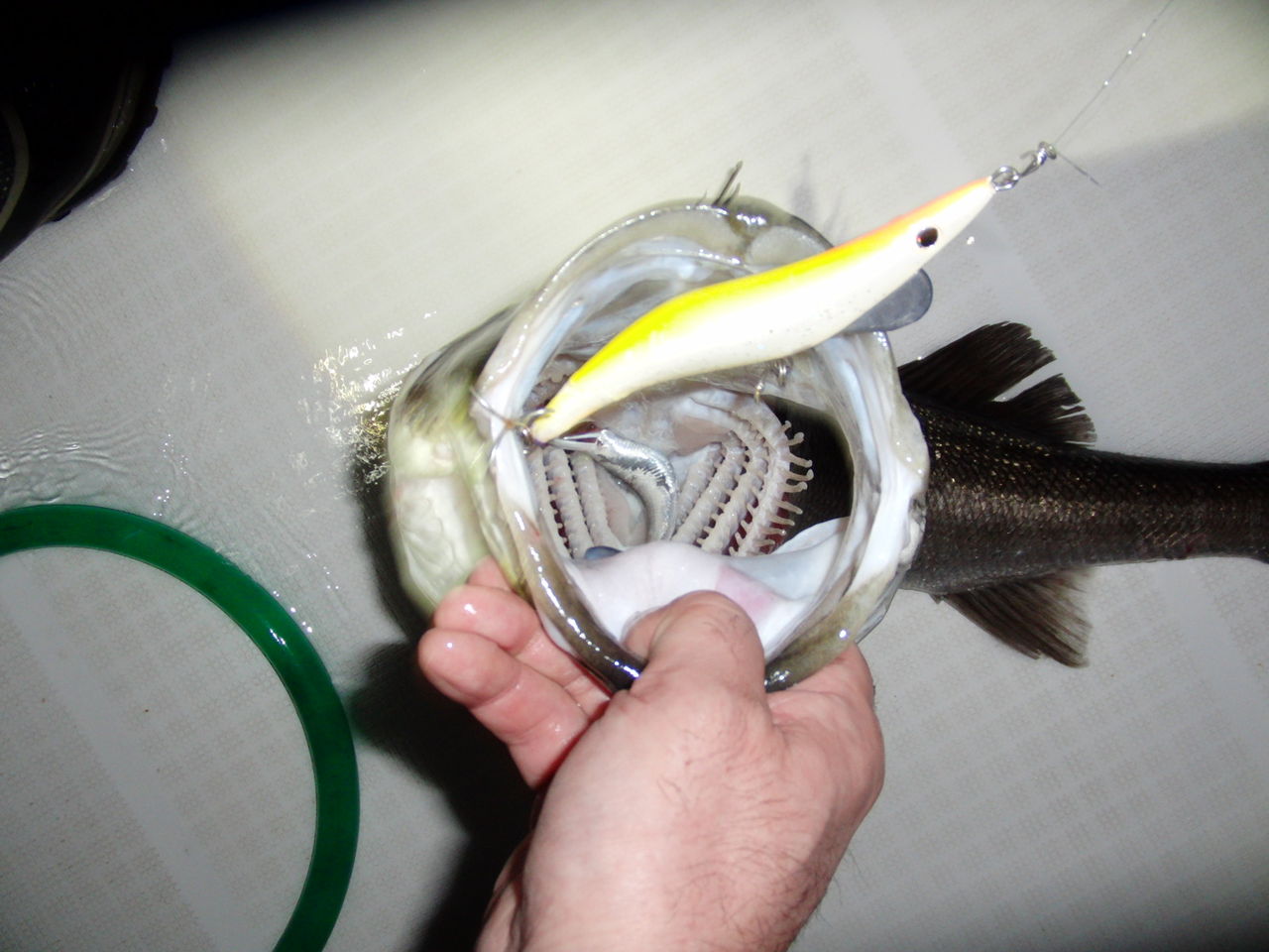 超越の使い方 There S Something About Incho