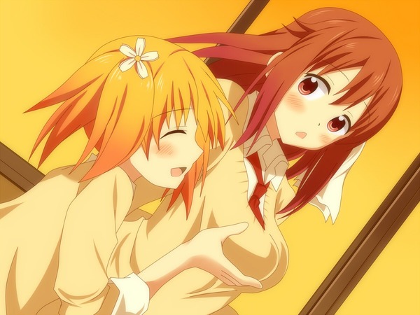 sakura_t013