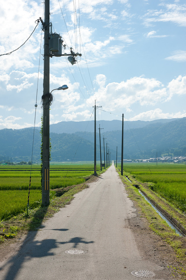 夏画像とポエムを投下していく 夏速報