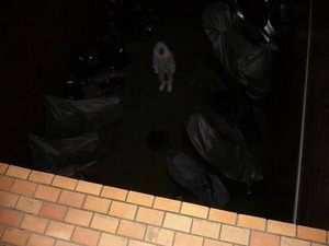 435