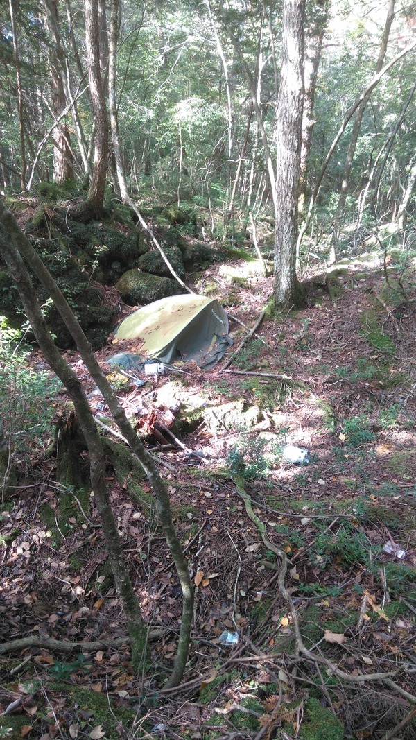 青木ヶ原 死体を探しに樹海に行ってきた 2chまとめ 読み物 長編 名作 2monkeys Jp