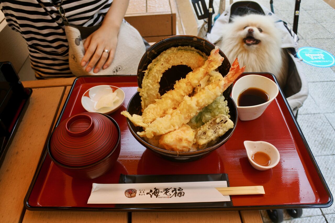 海老福 南町田グランベリーパーク店 ぴぃちゃんとテラス席