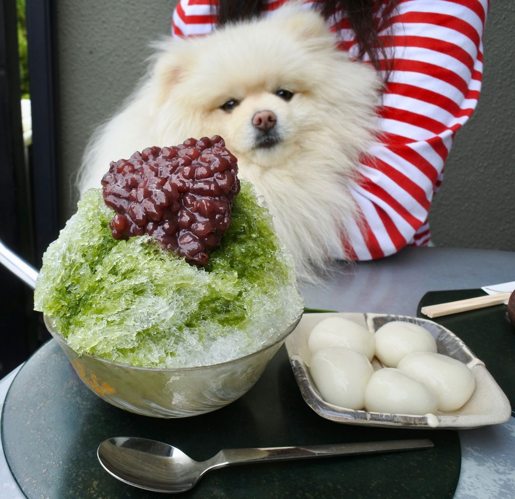 茶房 雲母 鎌倉 ぴぃちゃんとテラス席