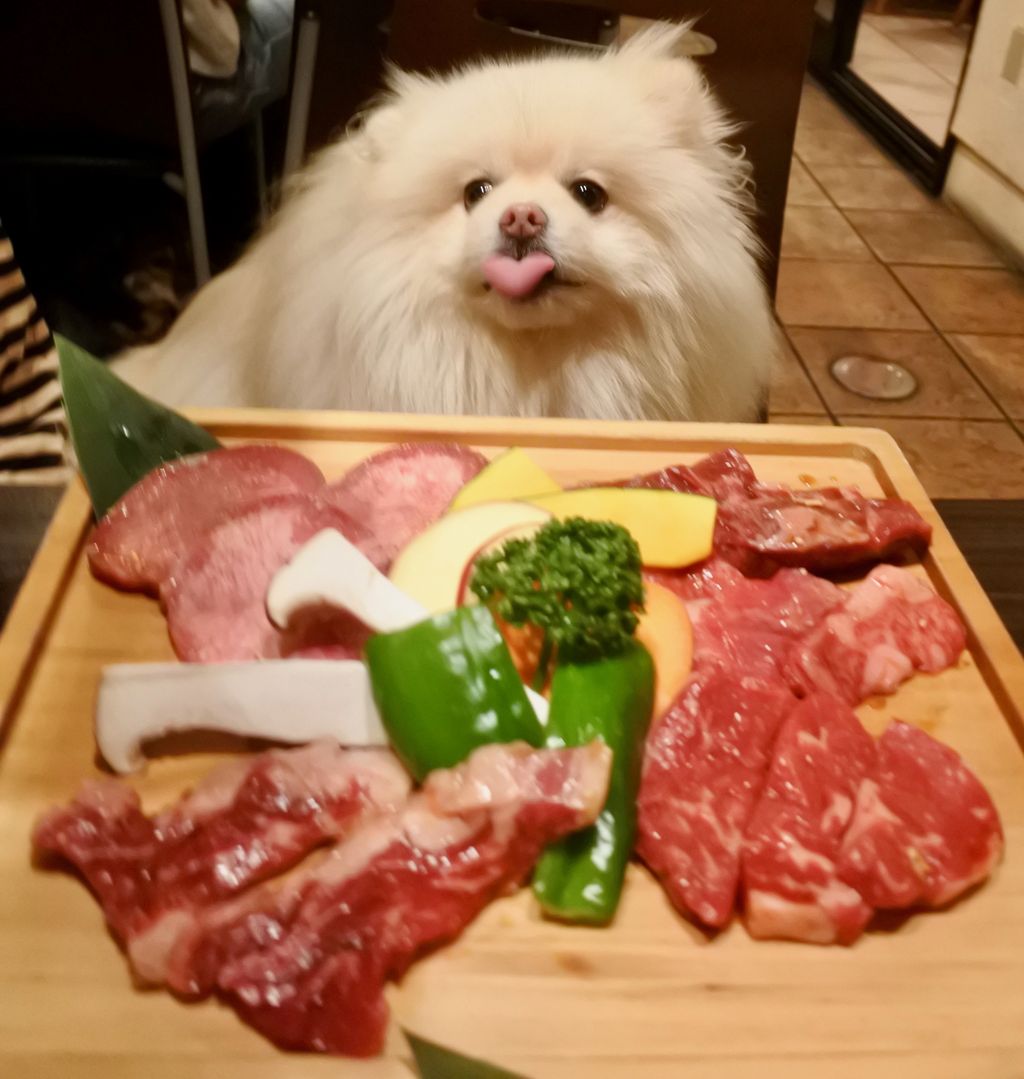 うしすけ 本店 武蔵新田 ぴぃちゃんとテラス席