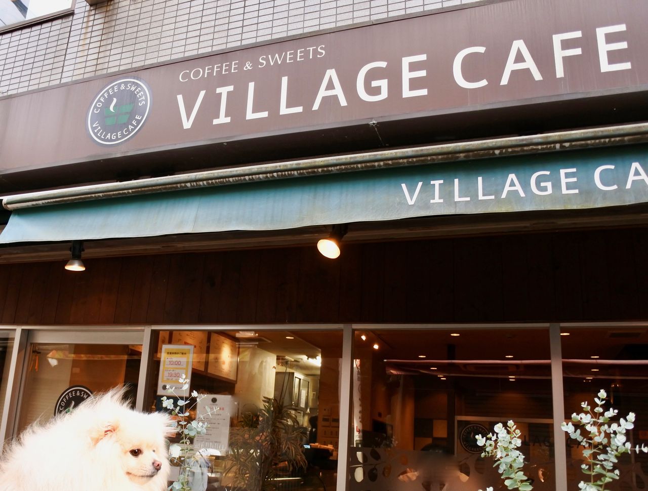 ヴィレッジカフェ 大船本店 Village Cafe 大船 ぴぃちゃんとテラス席 ヴィレッジカフェ 大船本店 Village Cafe 大船 ぴぃちゃんとテラス席