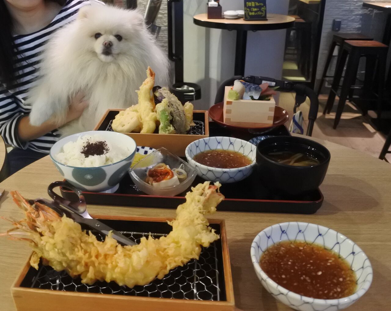 てんぷら天寅 自由が丘店 ぴぃちゃんとテラス席