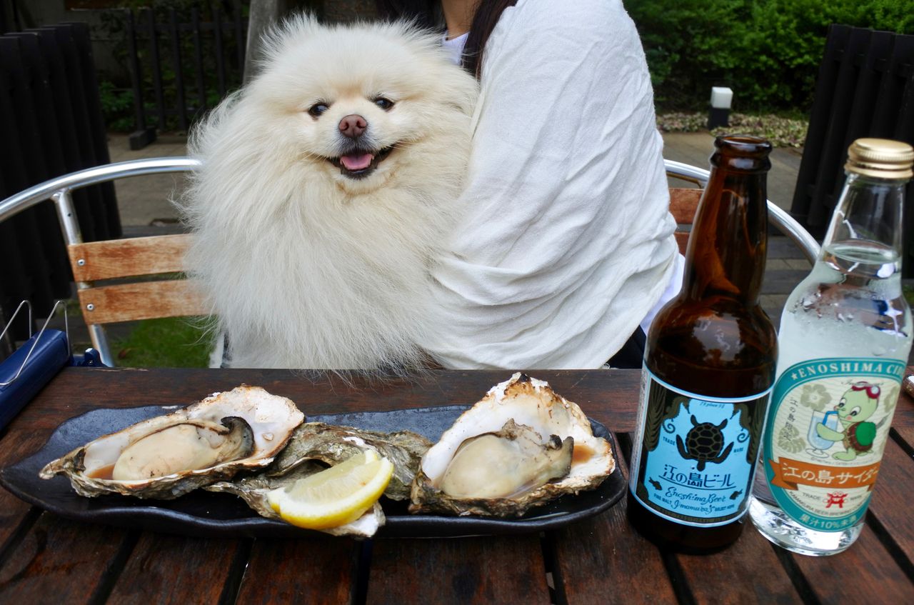 魚華 江ノ島 : ぴぃちゃんとテラス席。