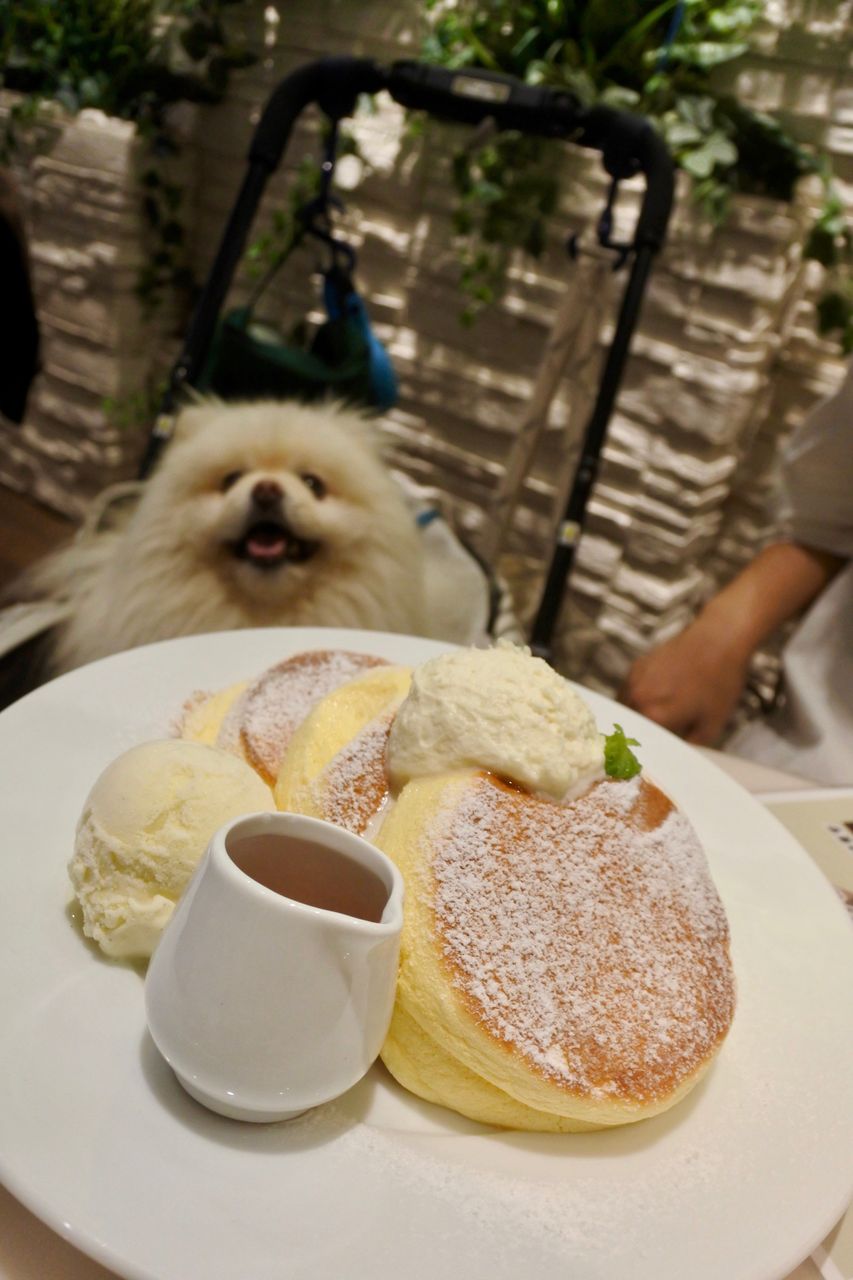 幸せのパンケーキ 横浜中華街店 ぴぃちゃんとテラス席