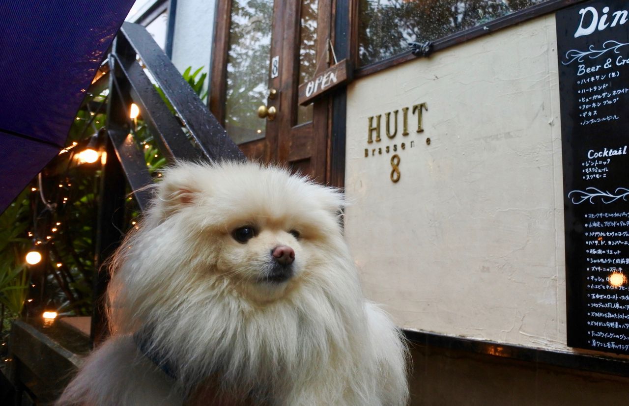 Huit 中目黒 ぴぃちゃんとテラス席 Huit 中目黒 ぴぃちゃんとテラス席
