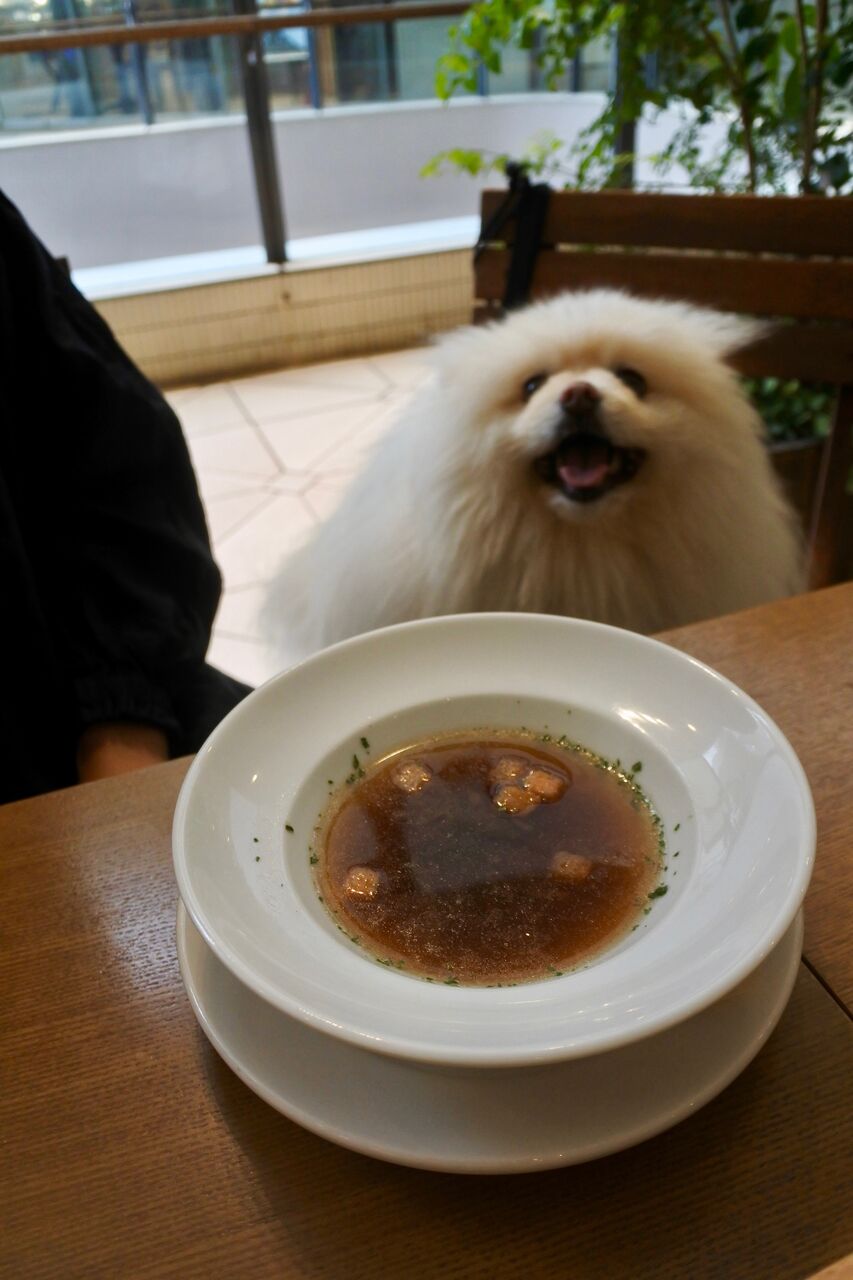 フレンチーナ 横浜ベイクォーター店 ぴぃちゃんとテラス席 フレンチーナ 横浜ベイクォーター店 ぴぃちゃんとテラス席