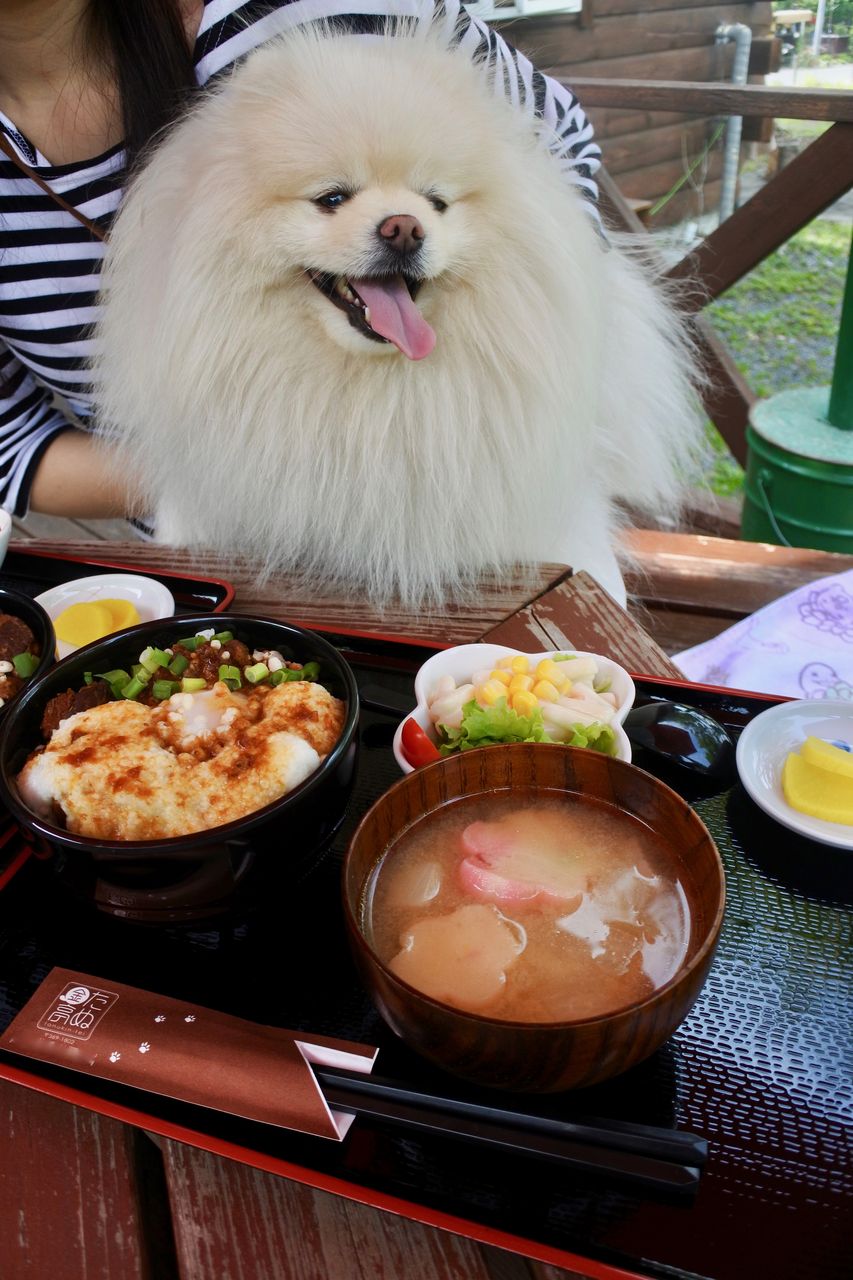 たぬ金亭 秩父 ぴぃちゃんとテラス席