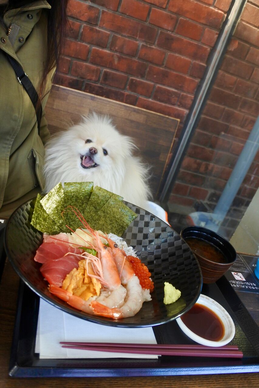 野毛 ヤマヤ鮮魚店 赤レンガ店 ぴぃちゃんとテラス席 野毛 ヤマヤ鮮魚店 赤レンガ店 ぴぃちゃんとテラス席