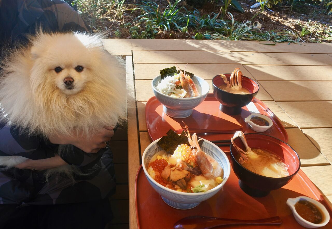魚河岸 中與商店 南町田グランベリーパーク店 ぴぃちゃんとテラス席