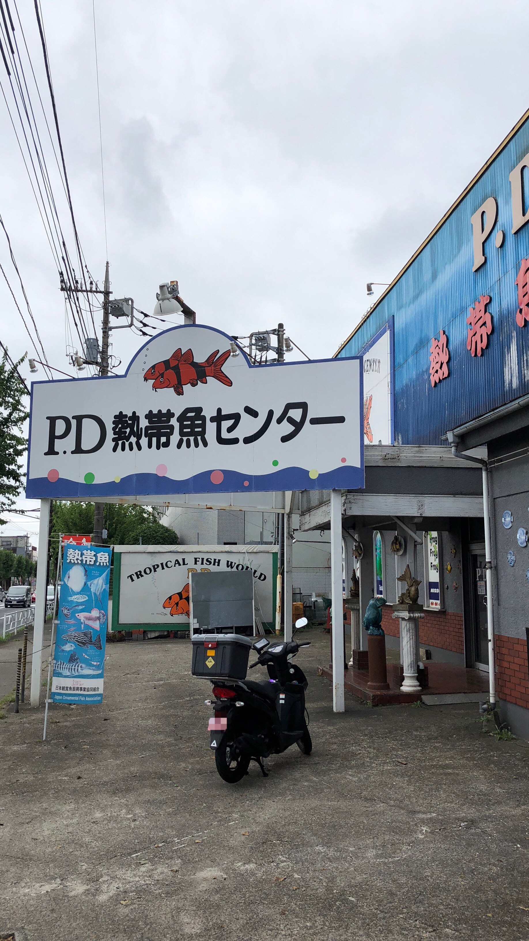 実家からの帰りにちょっくら その 嘗ては あにをた兄ぃのぐだぐだblog 実家からの帰りにちょっくら その 嘗ては あにをた兄ぃのぐだぐだblog