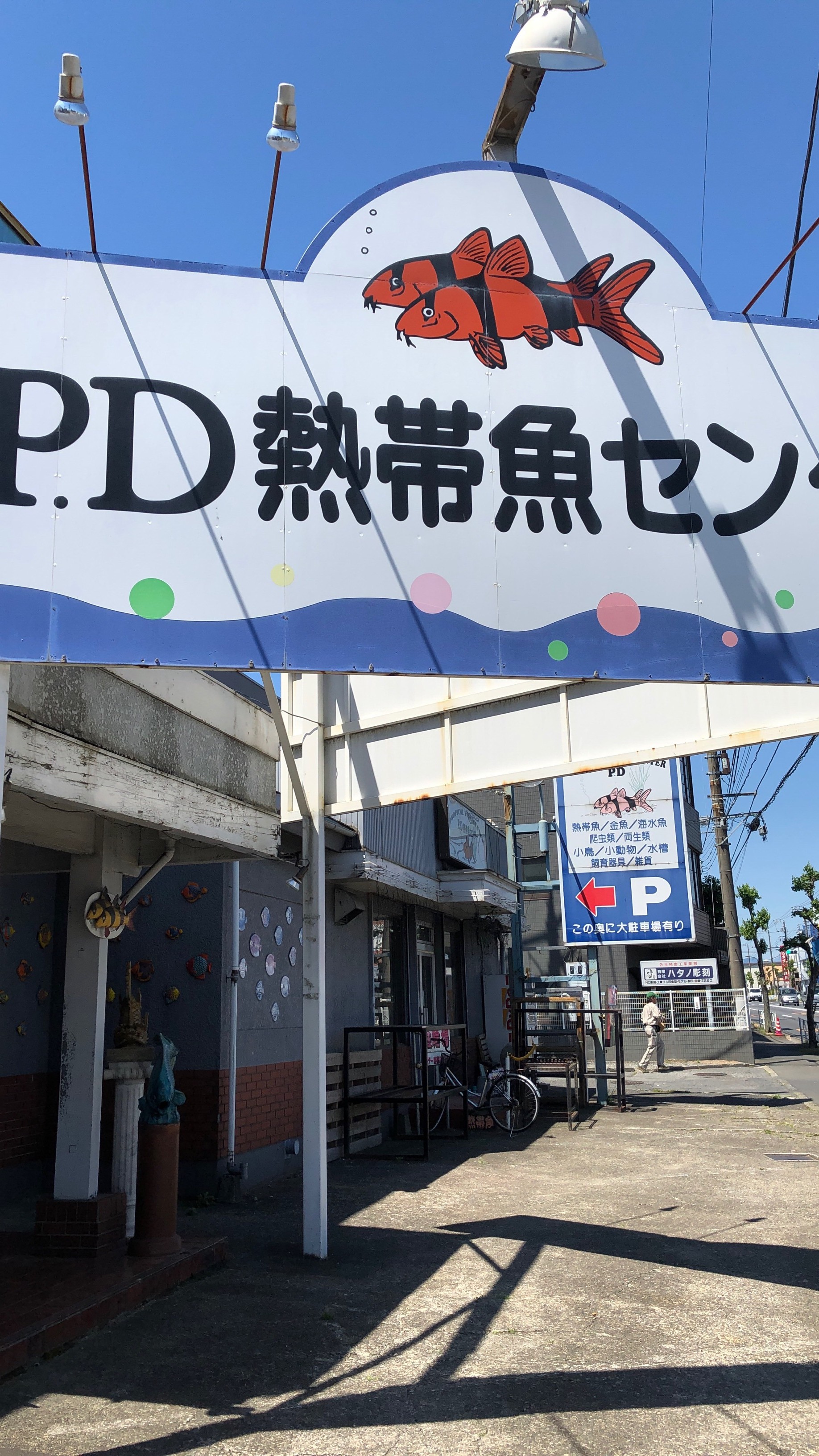 今回は帰省ってワケじゃあなかったんだけど その 何となくと必然と あにをた兄ぃのぐだぐだblog