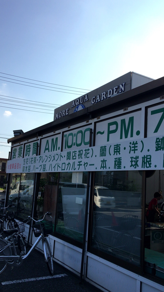 何故 熱帯魚ショップって あにをた兄ぃのぐだぐだblog