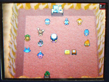 ゲーム ポケットモンスター ダイヤモンドパール14周年 インドアのアニオタ的まとめ ゲーム ポケットモンスター ダイヤモンドパール14周年 インドアのアニオタ的まとめ