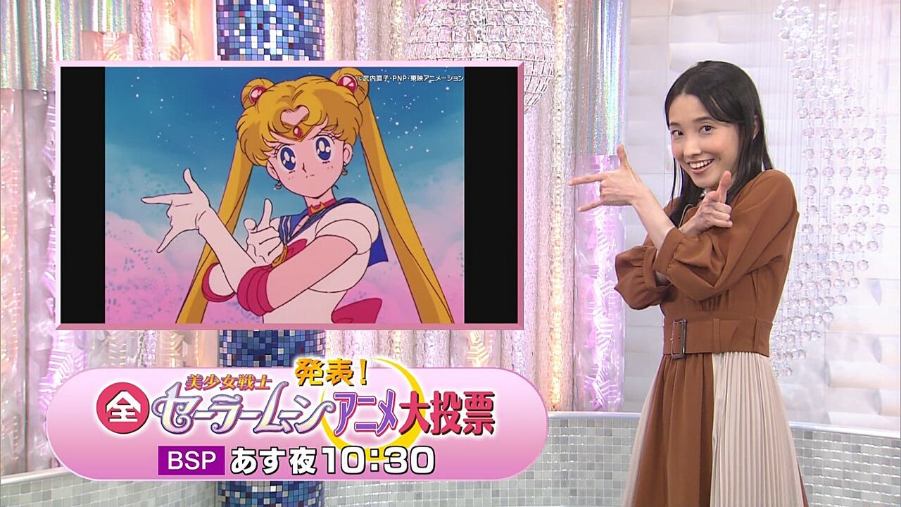 アニメ 全美少女戦士セーラームーン大投票 インドアのアニオタ的まとめ アニメ 全美少女戦士セーラームーン大投票 インドアのアニオタ的まとめ