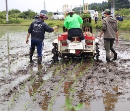 田植え機4