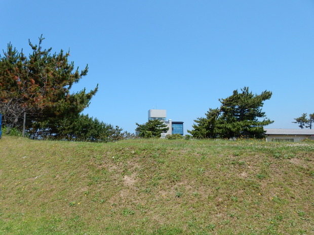 DSCN0185
