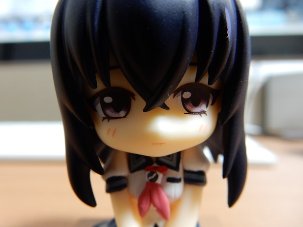 DSCN0031