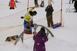 シュンシ レインボーレール