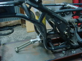 bea4d655.jpg