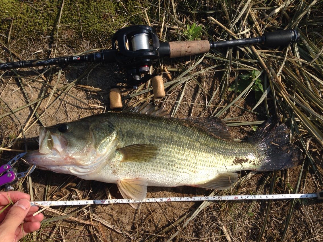 5月28日 長沼 八郎潟 Sのバス釣り 秋田 野池 八郎潟