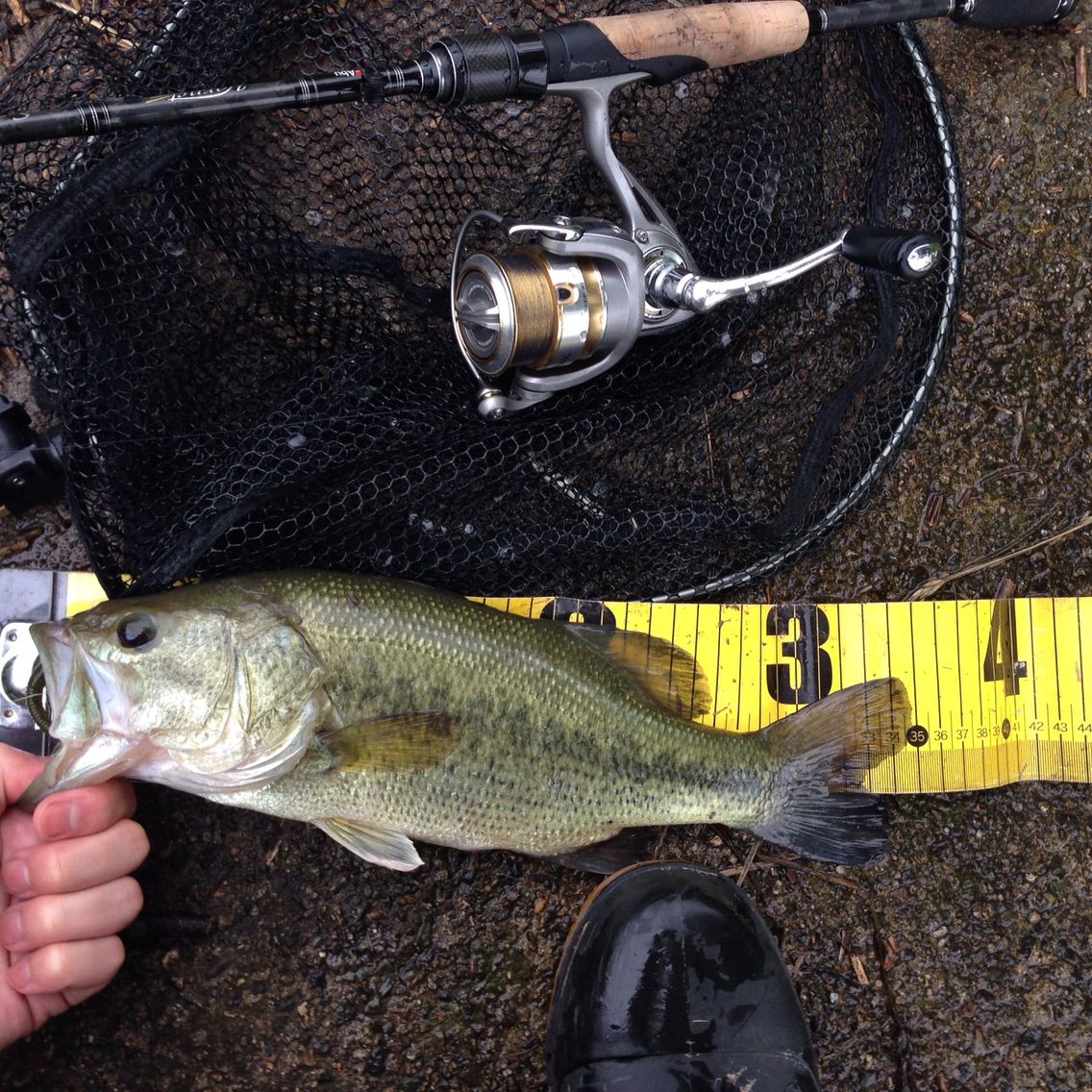 ６月２０日 八郎潟 長沼 Sのバス釣り 秋田 野池 八郎潟