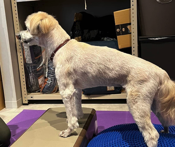 スクリーンショット 2025-12-22 15.52.14