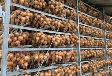 名称未設定のデザイン - 2025-12-23T091222.065