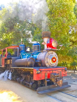 ���󥿥��롼��