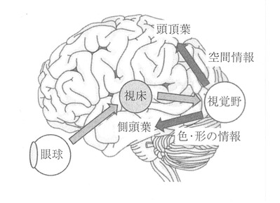 Ǿ�λ�о��������