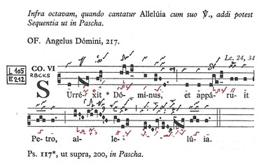 ���쥴�ꥪ����