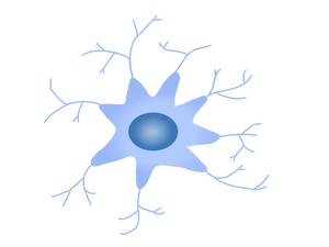 ���ꥢ��˦