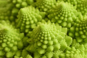 ���ޥͥ����֥��å��꡼