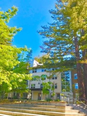カリフォルニア大学