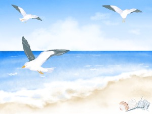 海とカモメ